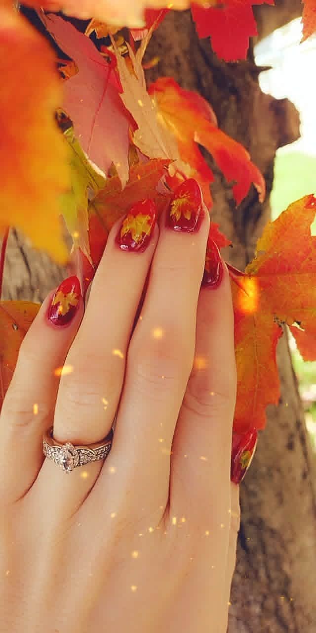 Autumn Maple Leaves — Seasonal Art